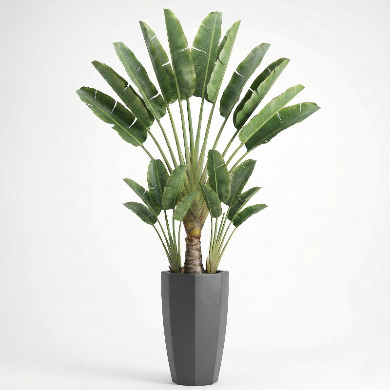 High-Simulation Plastic Fiddle - Ficus Lyrata Tree recension och pris