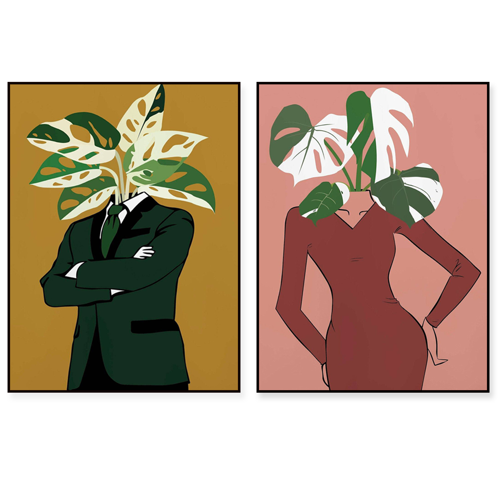 Monstera Albo in a burgundy dr - Monstera Adansonii recension och pris